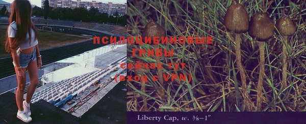 дурь Болохово