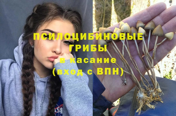 дурь Болохово