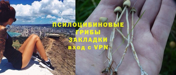 гашик Михайлов