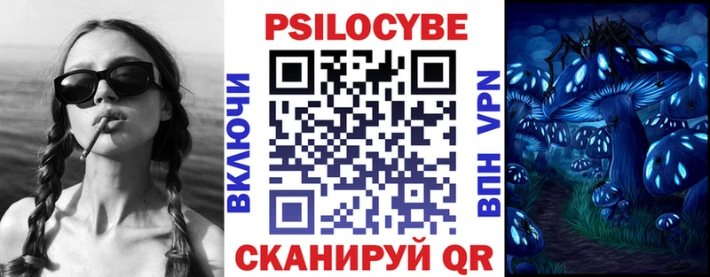 где купить наркоту  Подпорожье  Галлюциногенные грибы мицелий 